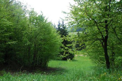 Example pic